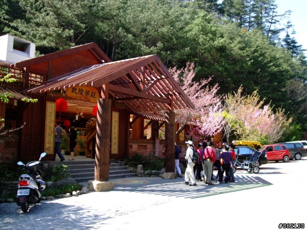 武陵合歡山~殘花殘雪兩日遊(圖多)