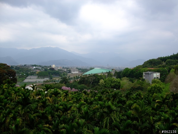 武陵合歡山~殘花殘雪兩日遊(圖多)