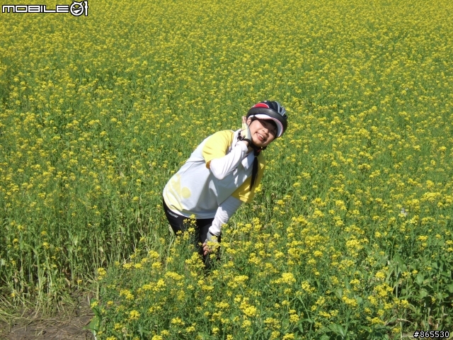 過年前-讓女王輕鬆環島八日遊(內有偷懶方法)