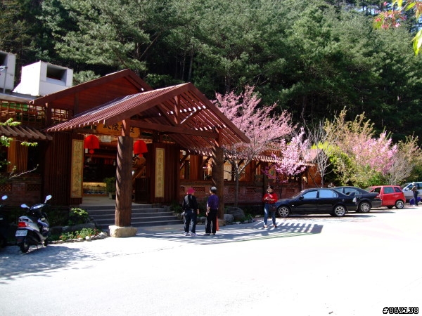 武陵合歡山~殘花殘雪兩日遊(圖多)
