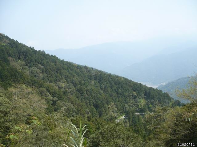 2010-03-22北台灣一日遊,又是獨跑,圖一樣很多XD