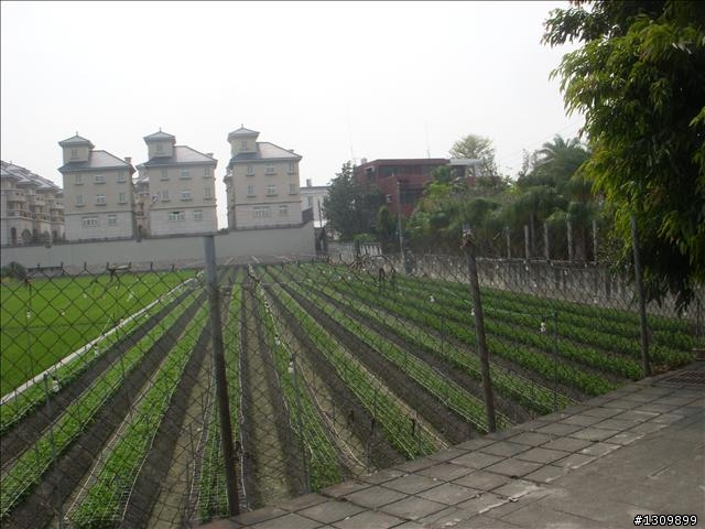 2010萬人崇BIKE之逆風疾行130