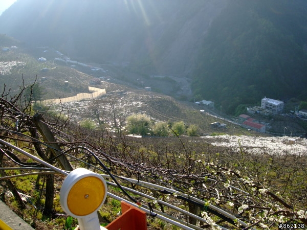 武陵合歡山~殘花殘雪兩日遊(圖多)