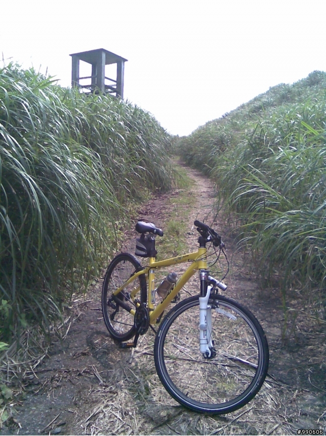 草山雷達站、本山步道←off road入門超推薦!!