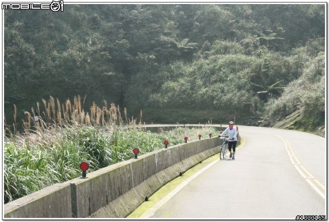 一對老鳥慢慢飛越九份城