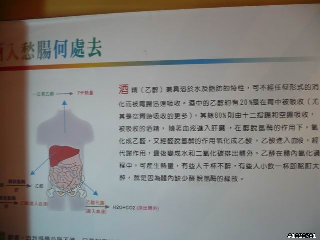 2010-03-22北台灣一日遊,又是獨跑,圖一樣很多XD