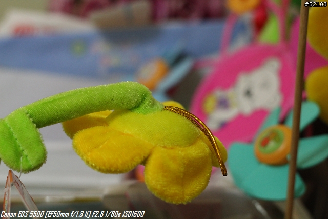 550D v.s. D300s 高ISO大欺小,小欺大...傻傻分不清楚