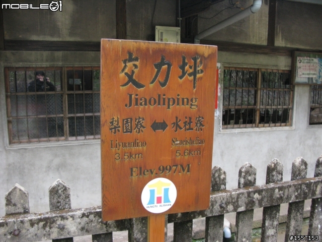 新手初發~獨跑竹崎交力坪車站半日遊~圖多~內有摔車紀錄慎入~