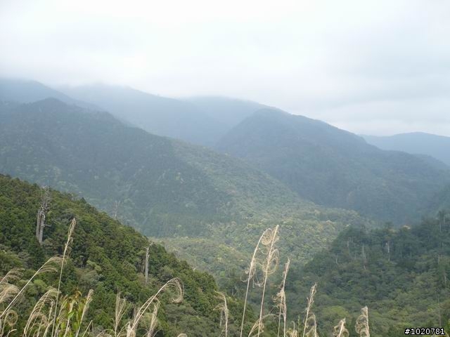 2010-03-22北台灣一日遊,又是獨跑,圖一樣很多XD