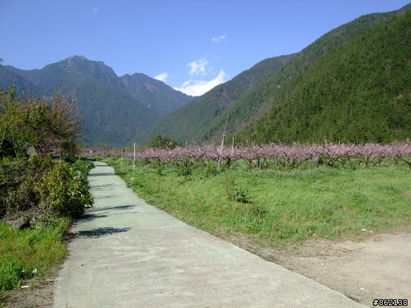 武陵合歡山~殘花殘雪兩日遊(圖多)