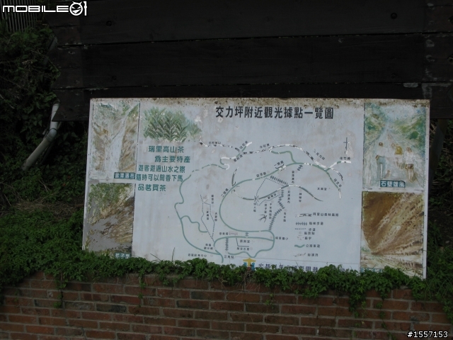 新手初發~獨跑竹崎交力坪車站半日遊~圖多~內有摔車紀錄慎入~