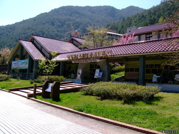 武陵合歡山~殘花殘雪兩日遊(圖多)