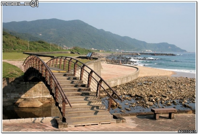 一對老鳥慢慢飛越九份城
