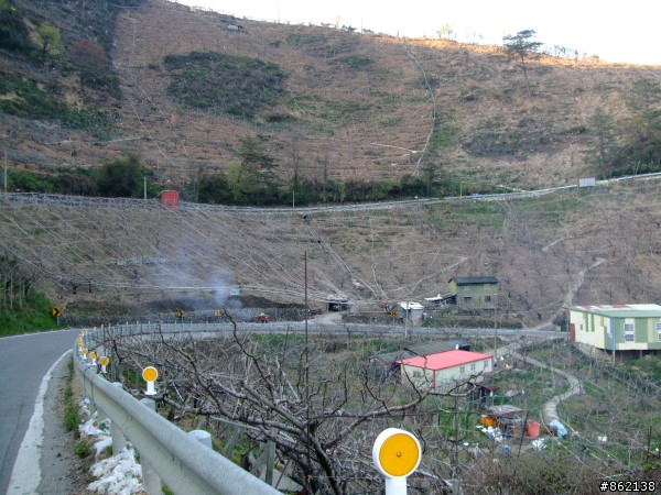 武陵合歡山~殘花殘雪兩日遊(圖多)