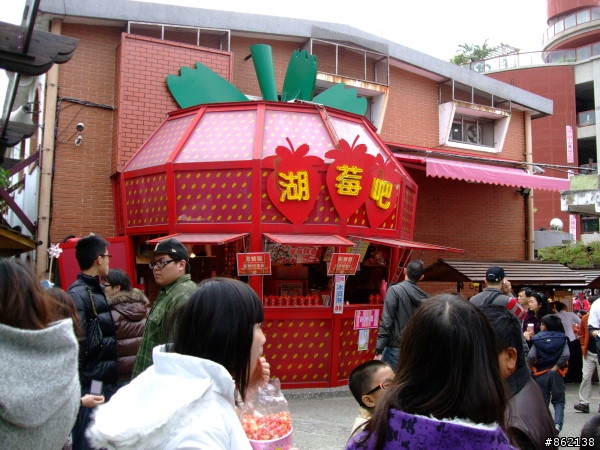 武陵合歡山~殘花殘雪兩日遊(圖多)