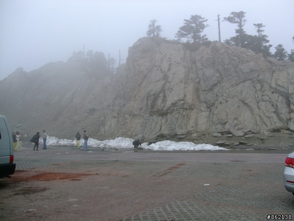 武陵合歡山~殘花殘雪兩日遊(圖多)