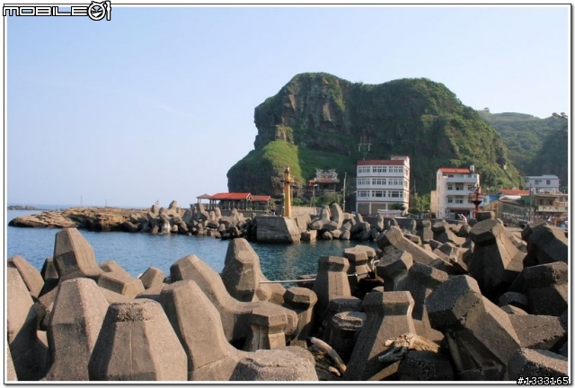 一對老鳥慢慢飛越九份城