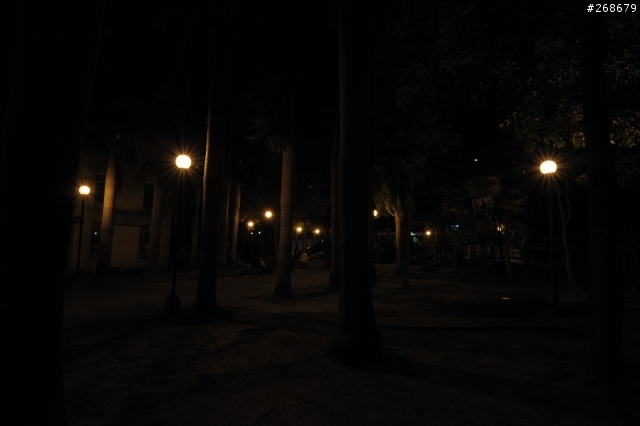 nikon 16-35 F4 VR 亂測