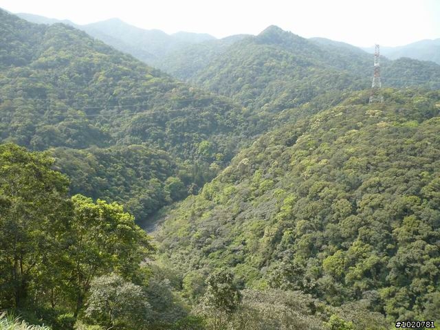 2010-03-22北台灣一日遊,又是獨跑,圖一樣很多XD