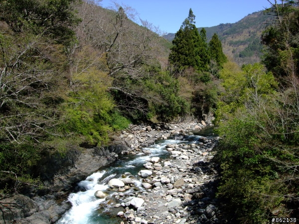 武陵合歡山~殘花殘雪兩日遊(圖多)