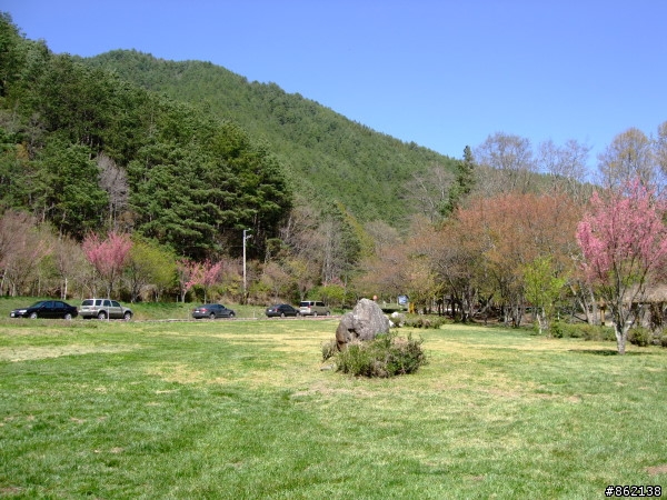 武陵合歡山~殘花殘雪兩日遊(圖多)