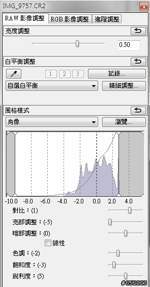 C家的福音 DPP色調調整分享