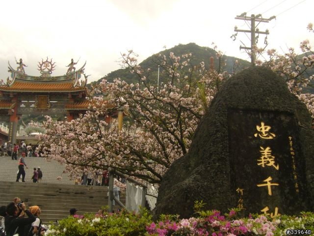 賞櫻外加巴拉卡助航站之行