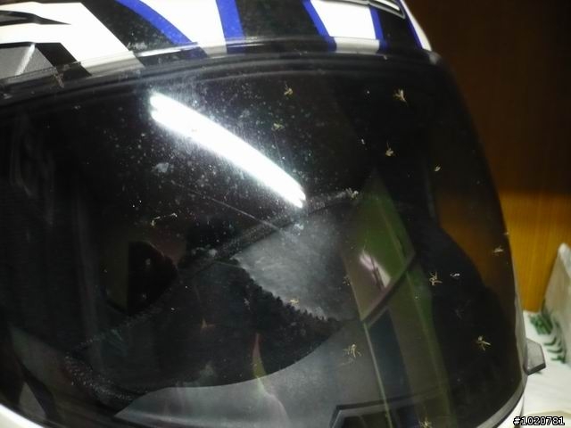 2010-03-22北台灣一日遊,又是獨跑,圖一樣很多XD