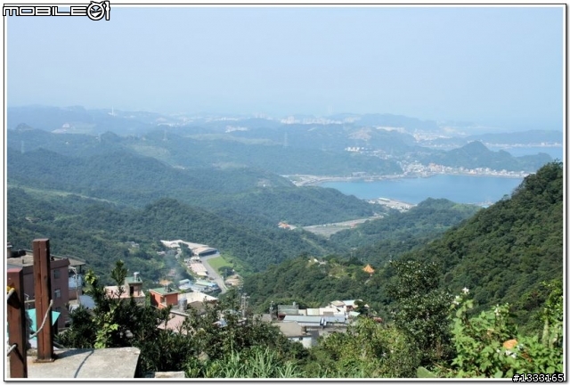 一對老鳥慢慢飛越九份城