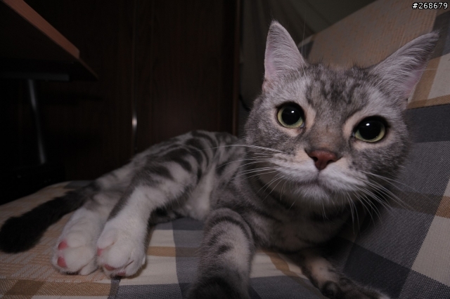 nikon 16-35 F4 VR 亂測