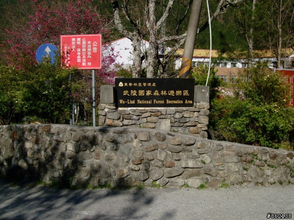 武陵合歡山~殘花殘雪兩日遊(圖多)