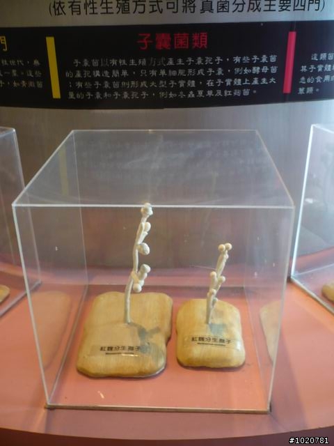 2010-03-22北台灣一日遊,又是獨跑,圖一樣很多XD