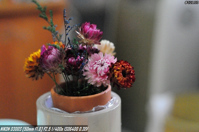 550D v.s. D300s 高ISO大欺小,小欺大...傻傻分不清楚