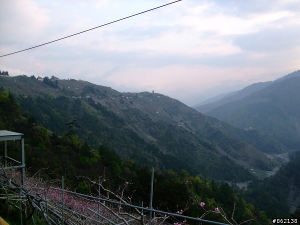 武陵合歡山~殘花殘雪兩日遊(圖多)