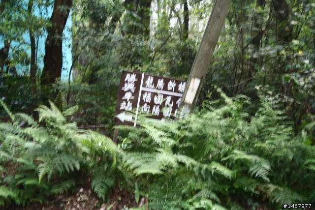 100CC機車六天五夜單人環島遊記(補一張環島精華錦集照片)