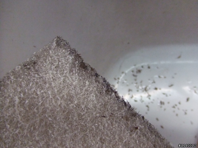 全熱交換器的空氣品質改善~加裝前置空氣過濾箱(N日後追蹤報導)