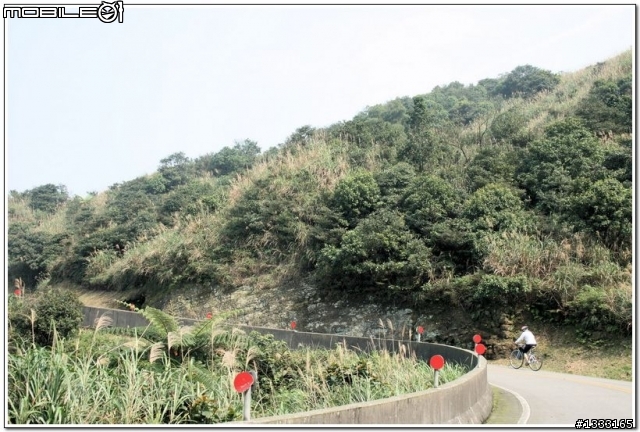 一對老鳥慢慢飛越九份城