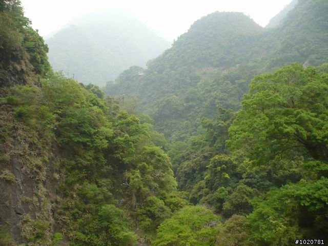 2010-03-22北台灣一日遊,又是獨跑,圖一樣很多XD