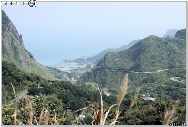 一對老鳥慢慢飛越九份城