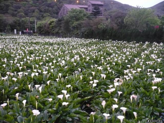 2010-03-22北台灣一日遊,又是獨跑,圖一樣很多XD