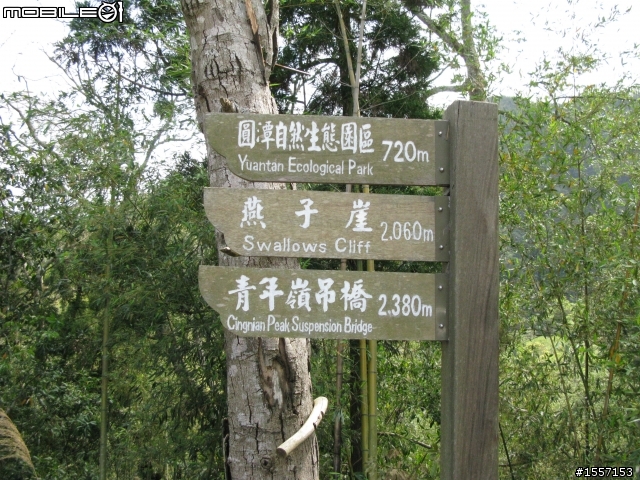 新手初發~獨跑竹崎交力坪車站半日遊~圖多~內有摔車紀錄慎入~