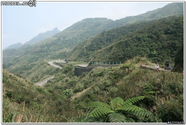 一對老鳥慢慢飛越九份城