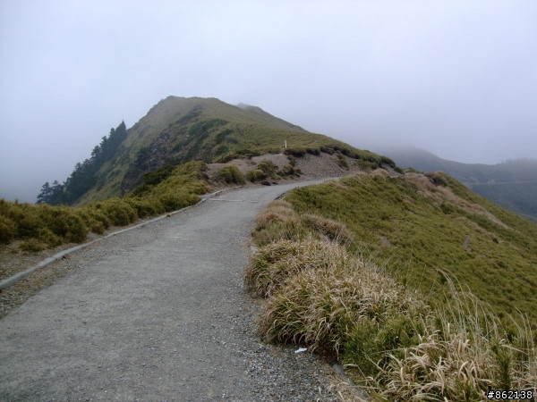 武陵合歡山~殘花殘雪兩日遊(圖多)