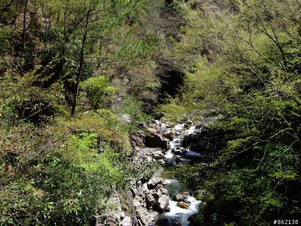 武陵合歡山~殘花殘雪兩日遊(圖多)