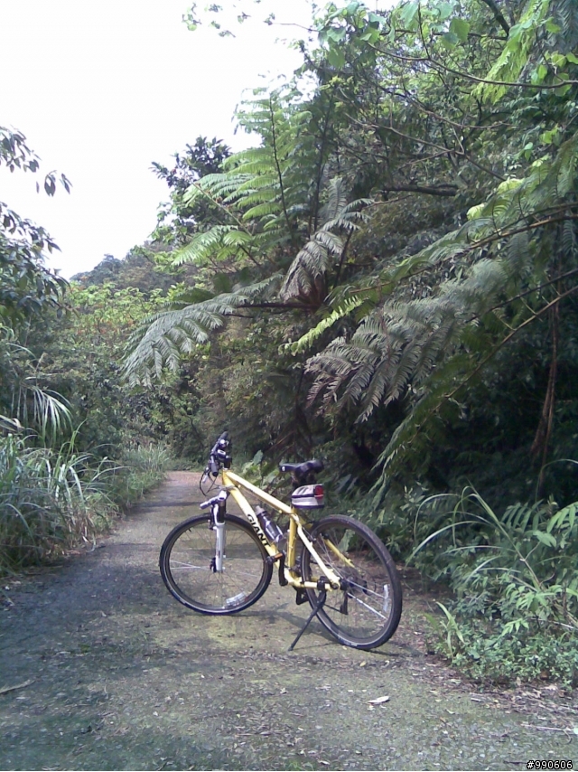 草山雷達站、本山步道←off road入門超推薦!!