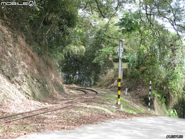 新手初發~獨跑竹崎交力坪車站半日遊~圖多~內有摔車紀錄慎入~