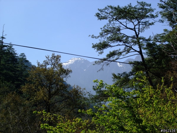 武陵合歡山~殘花殘雪兩日遊(圖多)