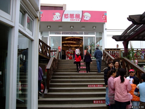武陵合歡山~殘花殘雪兩日遊(圖多)