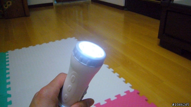 「分享」絕世好拍之勳風電蚊拍!!