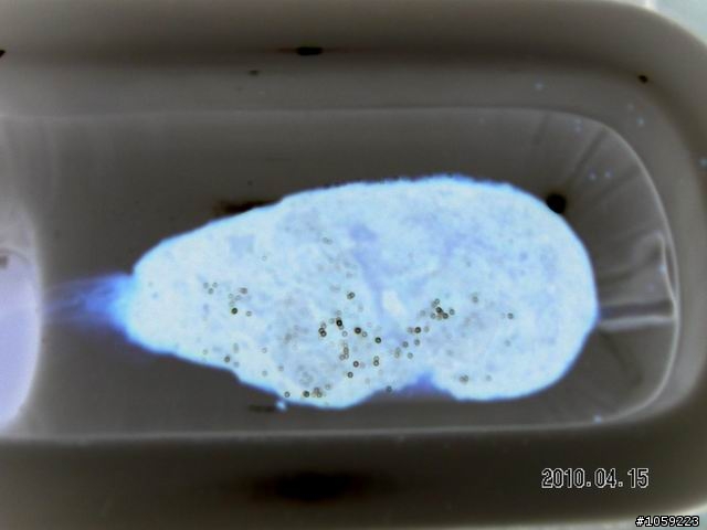 2010年單人野狼環島5天4夜-地獄式考驗-沙塵暴-焚風-低溫-濃霧-落山風-狂風-降雨-終完成夢想